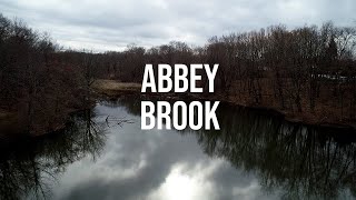 Chicopee - Abbey Brook & the Ponds at Szot Park