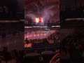 Chicago wolves game