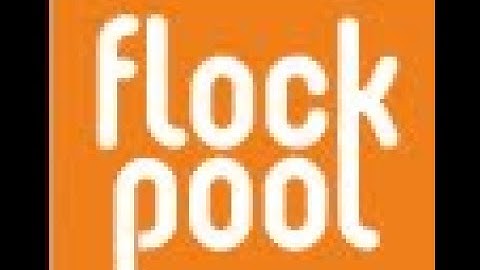 Flockpool Raptoreum Mining Pool Down Dec 8 2021. #Shorts