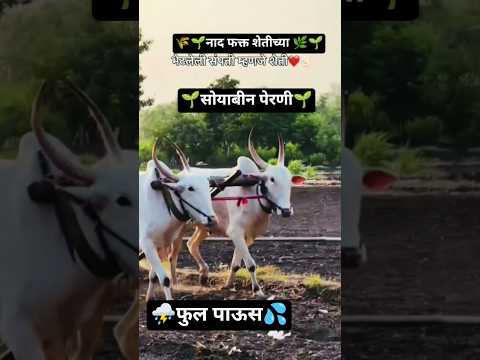 सोयाबीन पेरणी#shortvideo #soyabean #trendingshorts #trending #marathi #farming #viral