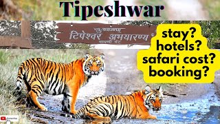 Tipeshwar wildlife sanctuary टिपेश्वर वन्यजीव अभयारण्य  #tipeshwar #tiger #yavatmal #maharashtra