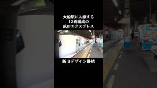 【JR東日本】12両編成 新旧デザイン併結 成田エクスプレス 大船駅入線【E259系】