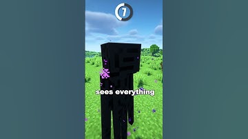 How MOBS Actually SEE Minecraft! 👀