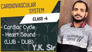 Cardiac Cycle of the Heart | Heart Sound | LUB - DUB  | Y.K. Sir