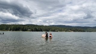 AQHA Young Horse Development Program - Wildcard Video - Swimming With Horses- Ella Stevens