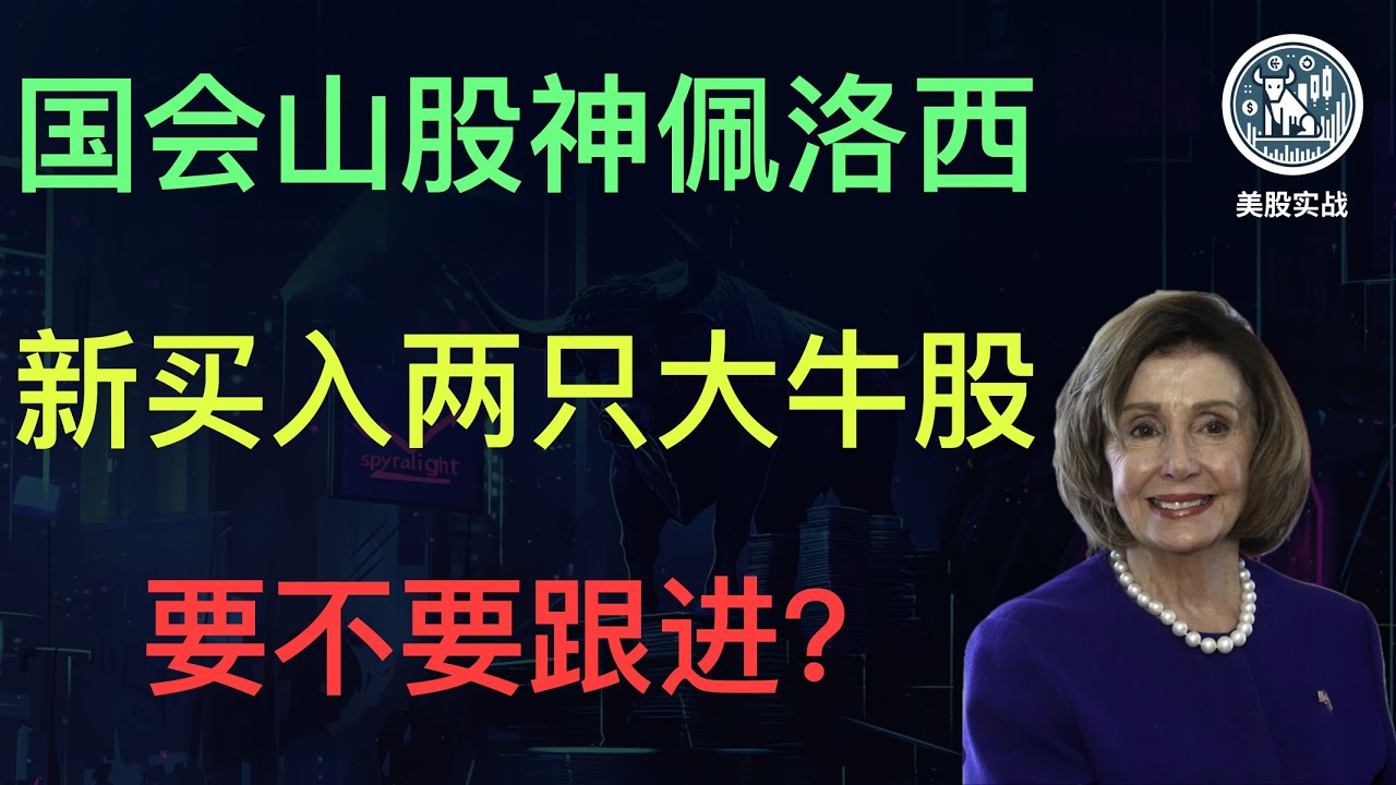 深度解析佩洛西新买入的两只潜力股，该不该跟进？｜Pelosi｜女股神｜AI股｜美股投资