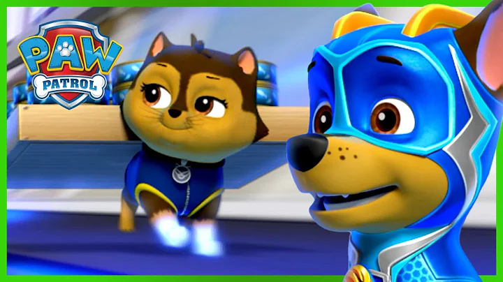 威力狗超能队对决超能力猫咪! - PAW Patrol 汪汪队立大功 - 儿童卡通 - 天天要闻