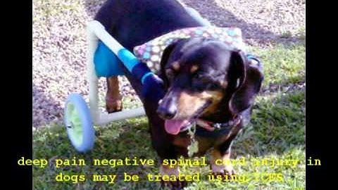 Micro-Pulse ICES PEMF Tutorial 8 - Holding Everything in Place - Step #3