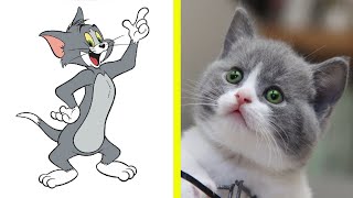 Tom and Jerry Characters in Real Life ( 2023 )