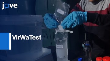 VirWaTest for the Detection of Viruses in Water Samples | Protocol Preview