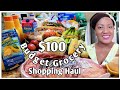 Budget Friendly Groceries at Aldi | $100 Healthy Food Haul | Kenya's Decor Corner