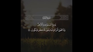 ﴿وقالوا اتخذ الله ولدا سبحانه بل له ما في السماوات والأرض كل له قانتون﴾ / القارئ عبدالله الموسى