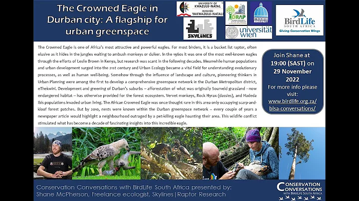 Conservation Conversations: Crowned Eagles in urba...