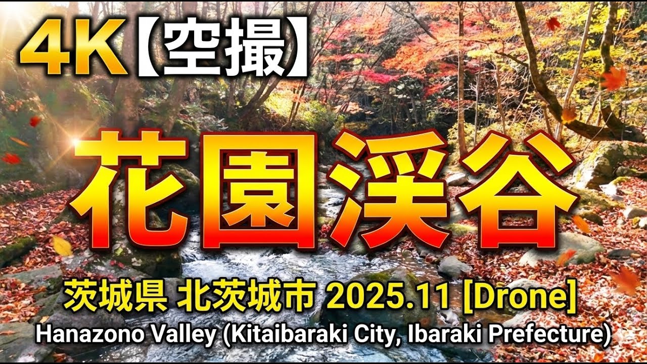🍁4K【空撮】花園渓谷（茨城県 北茨城市）2025.11 [Drone] Hanazono Valley (Kitaibaraki City, Ibaraki Prefecture)
