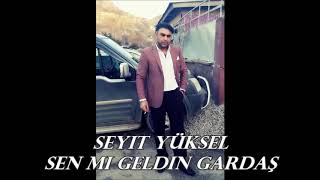 seyit yüksel sen mi geldin gardaş Resimi