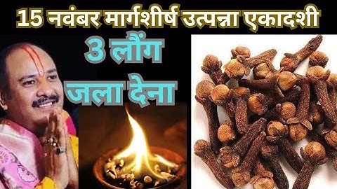 15 नवंबर शनिवार उत्पन्ना एकादशी व्रत के दिन 3 लौंग वाला उपाय जरुर करे || Pradeep Ji Mishra 