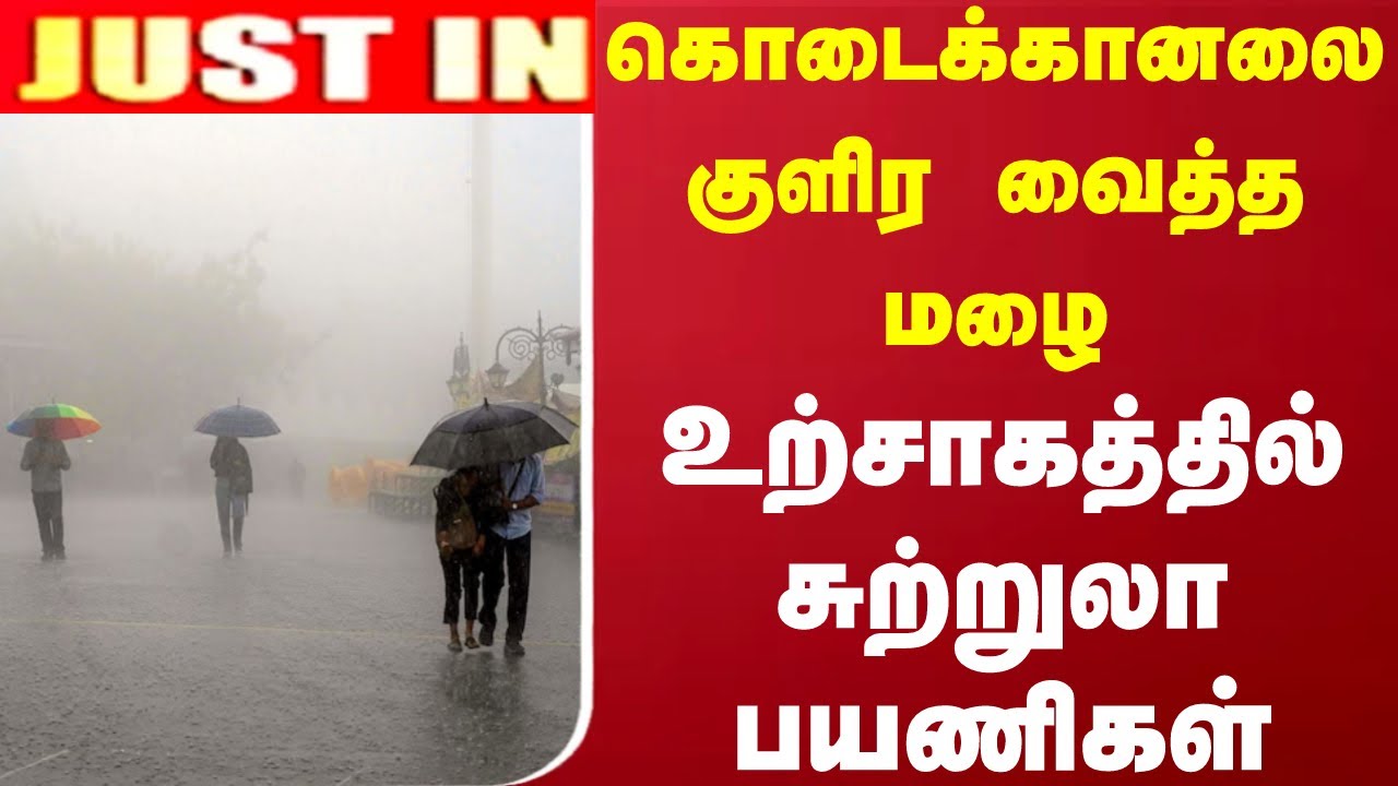 ஊட்டியில் மழை... குடைகள் பிடித்தவாறு அழகை ரசித்த சுற்றுலா பயணிகள்