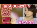 5000円のガチャで旅の行き先決めてみた!