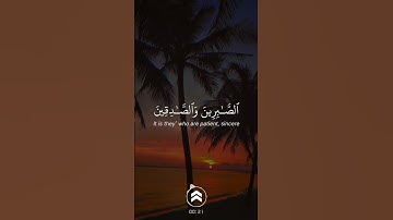 #قران_كريم | سورة ال عمران