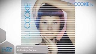 LUXY DJ SERIES presents DJ COOKIE [Album Teaser] [HD]