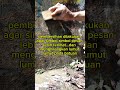 #rancadarah#simbol logogram#MENHIR#menunjukan objek#batuan#misteri #hutan#viral#pendidikan