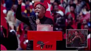 Julius Malema Vows to Dismiss Amapanyaza Once EFF Takes Over Gauteng