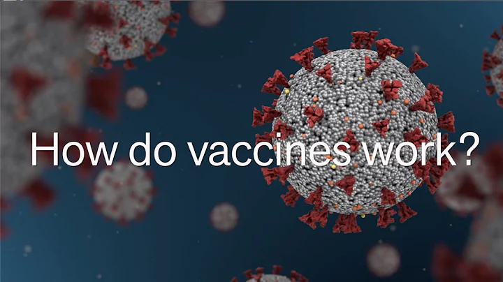How do vaccines work? | Viral Questions