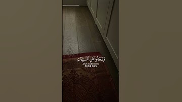 تلاوه خاشعة وراحه نفسية #قرآن كريم