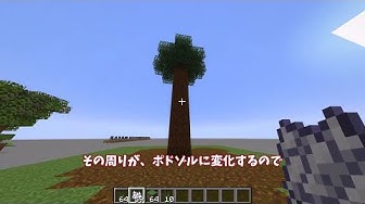 ポドゾル Youtube