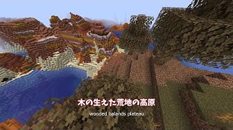 粗い土 Youtube