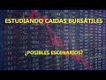 Estudiando las caídas bursátiles - Posibles Escenarios [MQL4]