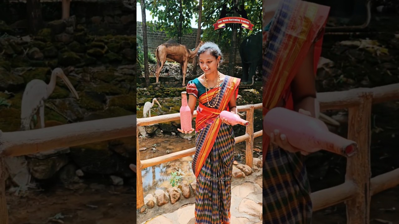 Best flair bartending institute 