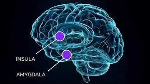 Amygdala Healing & Fear Removal - (Morphic Field)