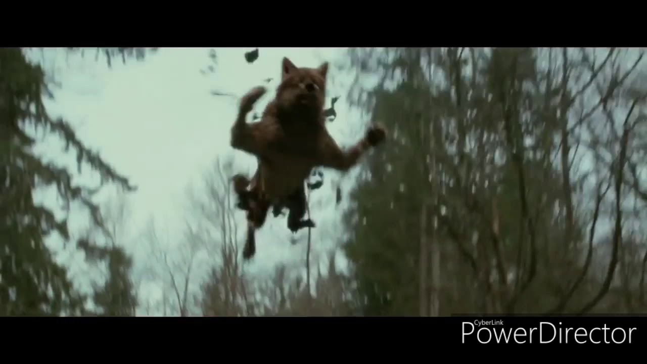 Картинка безумно можно быть первым волк