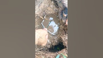 Tôi đã T.R.U.Y S.Á.T tới cùng để kéo lên được 1 con lươn quái vật khổng lồ #shorts