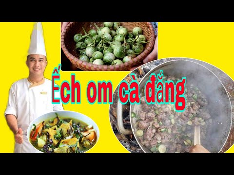 Video Cách làm ếch om cà đắng thơm ngon - youtube