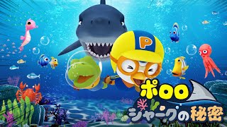 ポロロ シャークの秘密 🦈 | ポロロ アニメ | 子供向けアニメ人気 | ポンポンポロロ