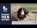 Building delta hen houses  delta waterfowl