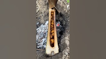 Đuông dừa nướng trong ống tre tập 2