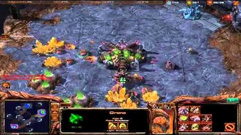 SC2 1v1 - Ordaehn ZvP #16 1/2