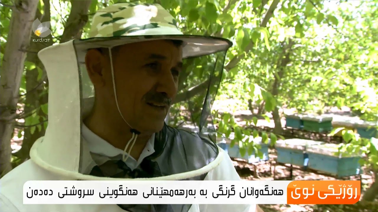 بەرهەمهێنانی هەنگوینی سروشتی لە هەرێمی كوردستان