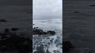 Bocas del toro Lebu - Chile - Bio Bio region