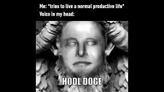 9gag Is Elon your crypto god