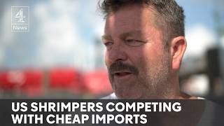 Will Trump's tariffs help shrimping industry?