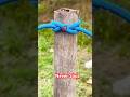 Tie this rope knot like a pro(TRY THIS!).