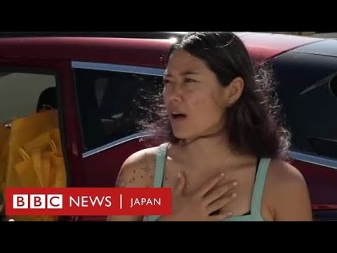 「私たちの仲間が死んだばかりの海で観光客が泳いでいる」 マウイ火災