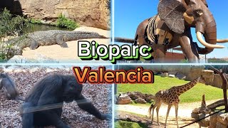 Am rămas ȘOCAT de ce am văzut la Bioparc în Valencia!