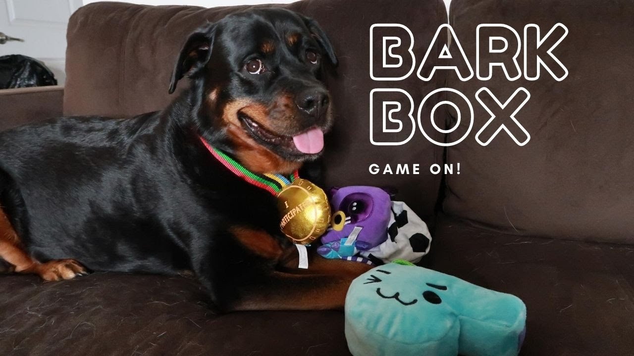 BarkBox | Game On | July 2020 | Monthly Subscription Unboxing