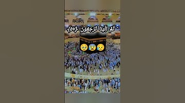 #القارئ_عبدالرحمن_مسعد #عبدالرحمن_مسعد #تلاوة_جميلة #ولاتجادلوا_اهل_الكتاب #المصحف