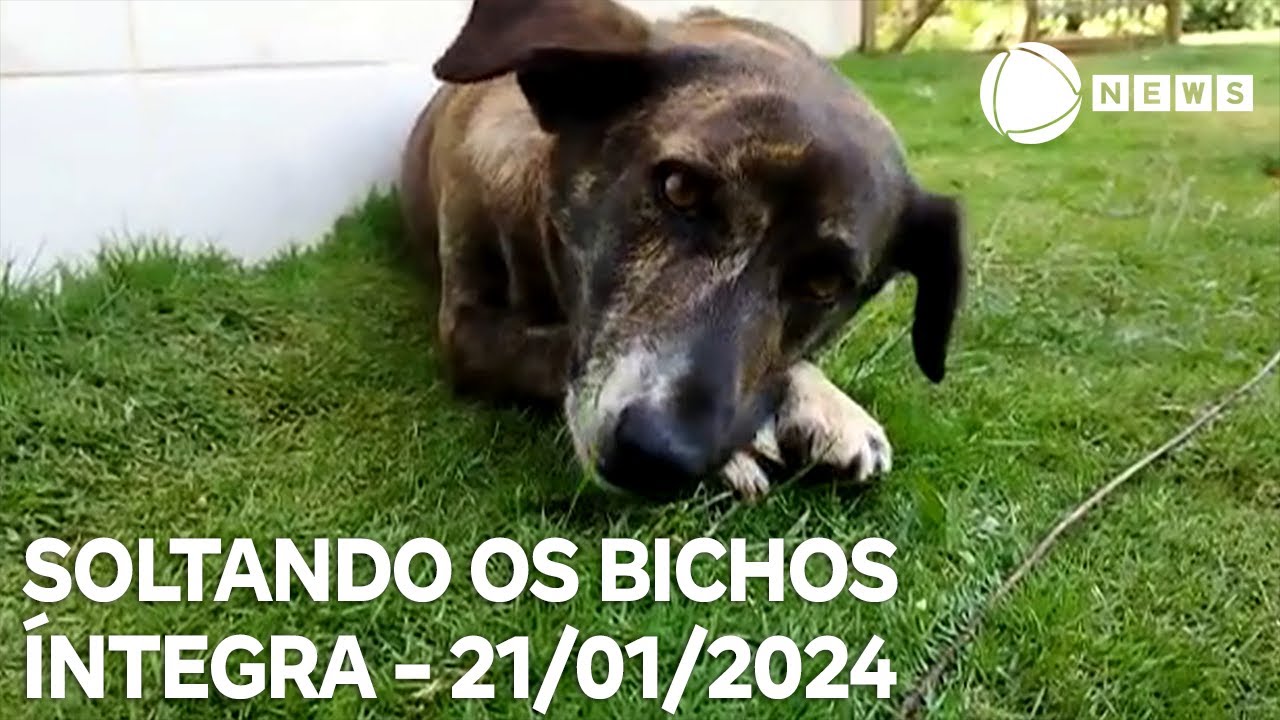 Soltando os Bichos – 21/01/2024